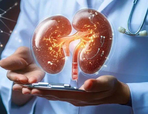 Kidney